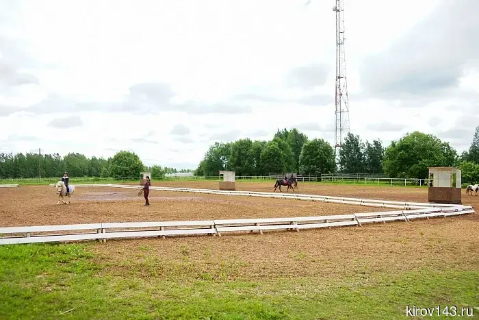 Вятскую породу лошадей разводят в Куменском районе