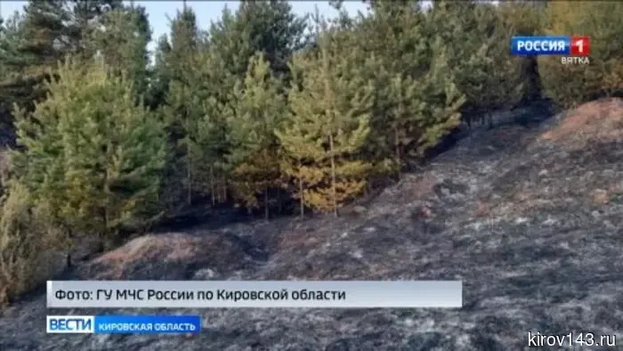 Обзор происшествий Кировской области