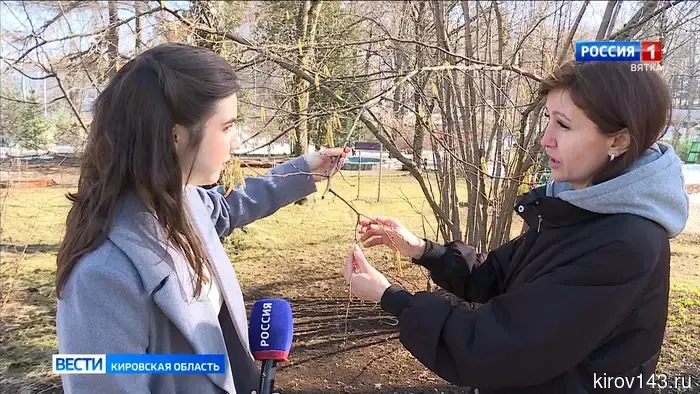 В Кировской области наблюдается аномальная для марта и апреля жара