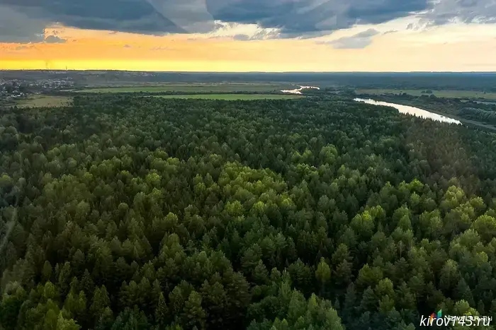 The quarantine zone in Kirov was expanded due to a dangerous pest.