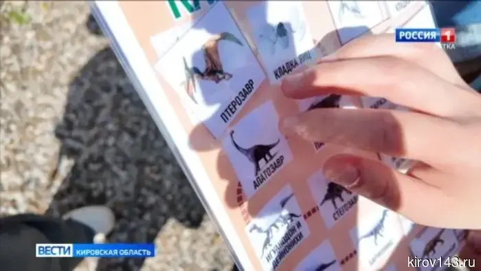 Как проводят лето кировские школьники