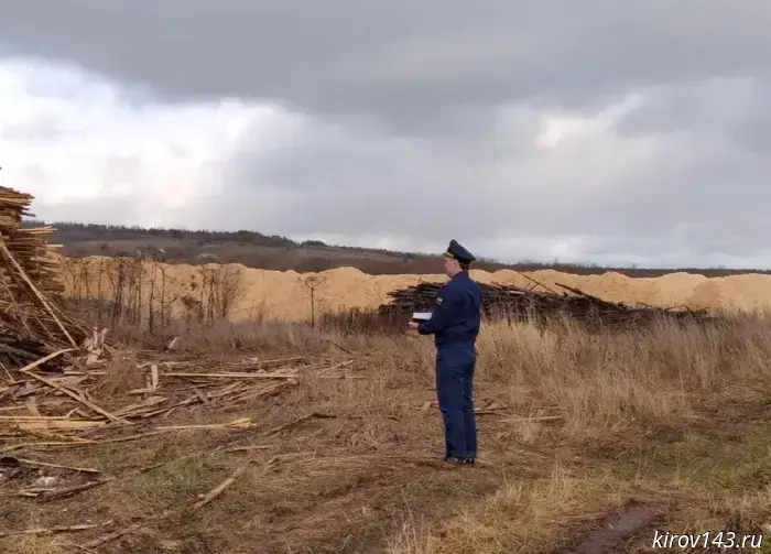 The Luz district Prosecutor's office has banned the processing of a tree near the water protection zone.