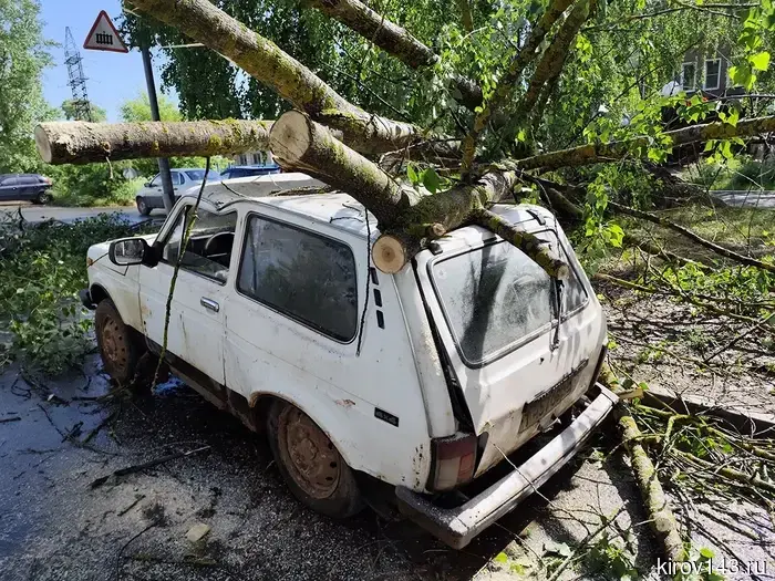 In Kirovo-Chepetsk, a tree fell on the road and damaged a car.