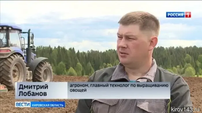 В Кировской области завершился процесс посадки картофеля.