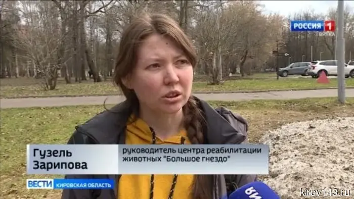 Мошенники представляются волонтерами центра «Большое гнездо»