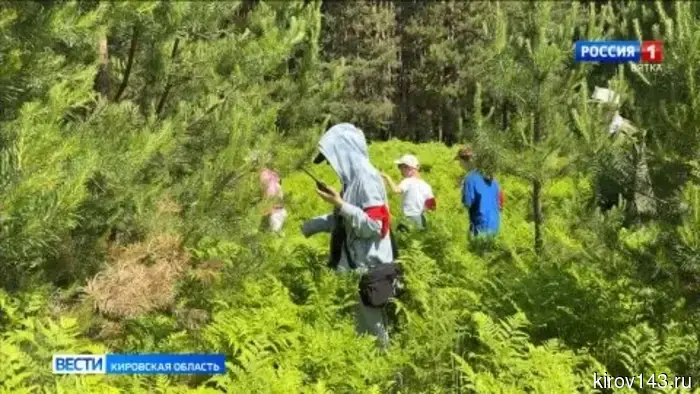 В Вятскополянском районе дети из лагеря изучали оказание первой помощи.
