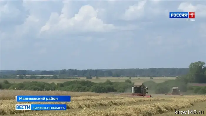 Аграрии Малмыжского района вышли на финишную прямую уборочной кампании