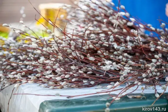 Palm Sunday will be celebrated on April 5: why willow is blessed and what it means