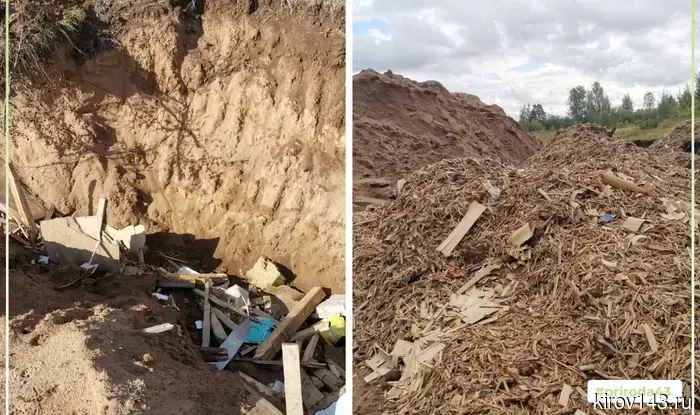 Минэкологии Кировской области в суде добивается ликвидации свалок у деревни Гнусино