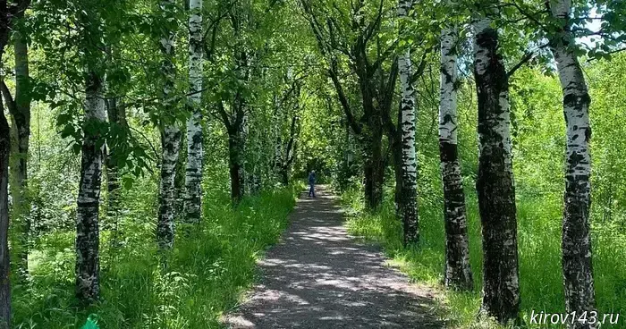 В Вятских Полянах проведут благоустройство городского парка возле площади Победы.