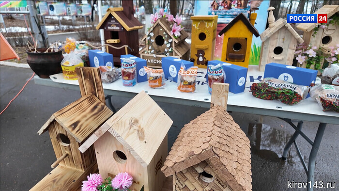 В кировском парке «Аполло» прошёл экологический конкурс скворечников и бельчатников.