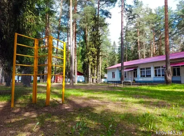 Около 200 детей из Запорожья проведут летние каникулы в Кировской области.