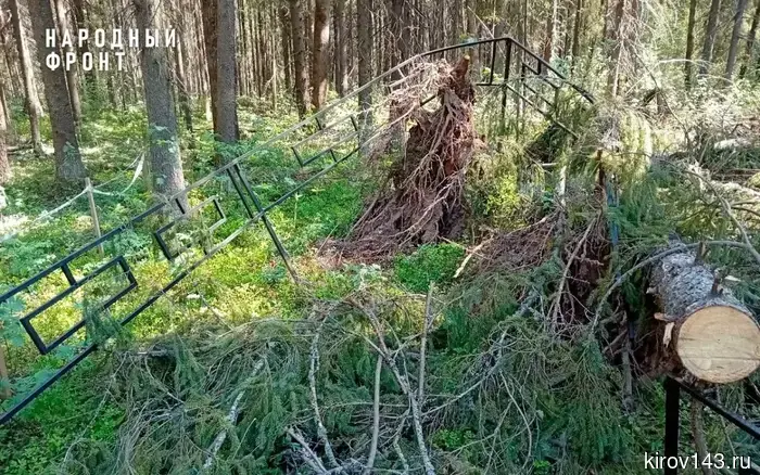 In Mitino, fallen trees at the cemetery damaged the grave of a WWII veteran.