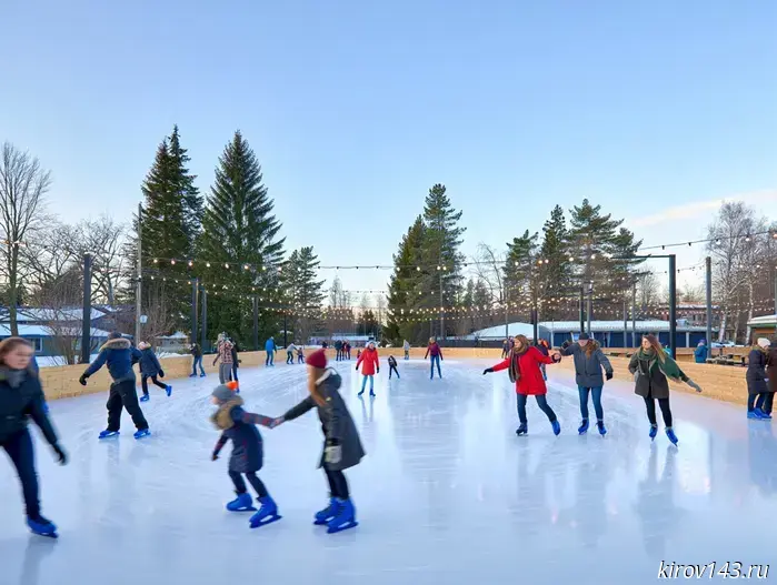 В Коминтерне и в парке Гагарина лед будет залит почти за 1,2 миллиона рублей.