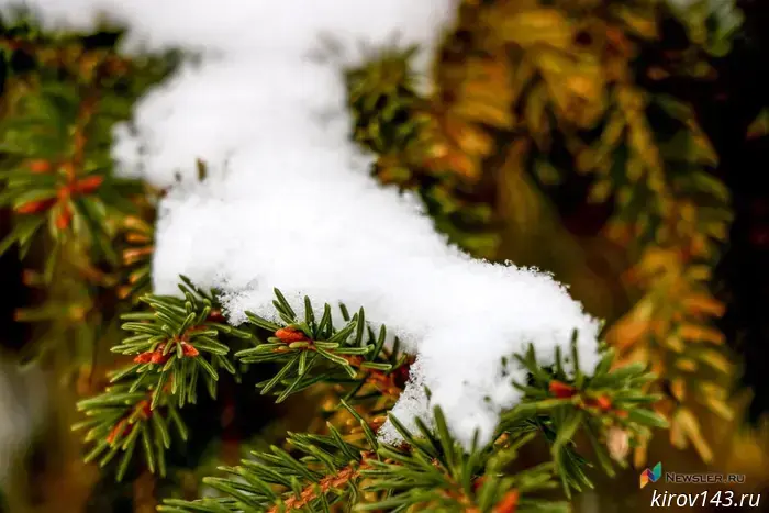 Amateur meteorologists warn of an imminent thaw.