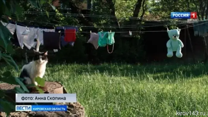 В Кирове открылось отделение Союза фотохудожников России