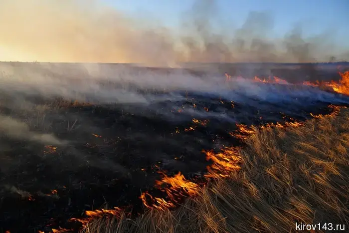 No bonfires or barbecues: a special fire safety regime has been introduced in the Kirov region.