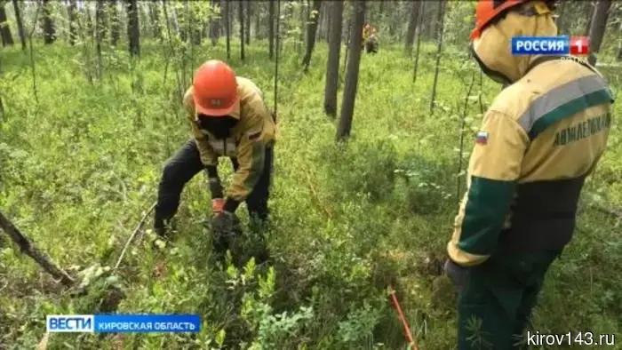 Сотрудники лесоохраны Кировской области рассказали о готовности к пожароопасному сезону