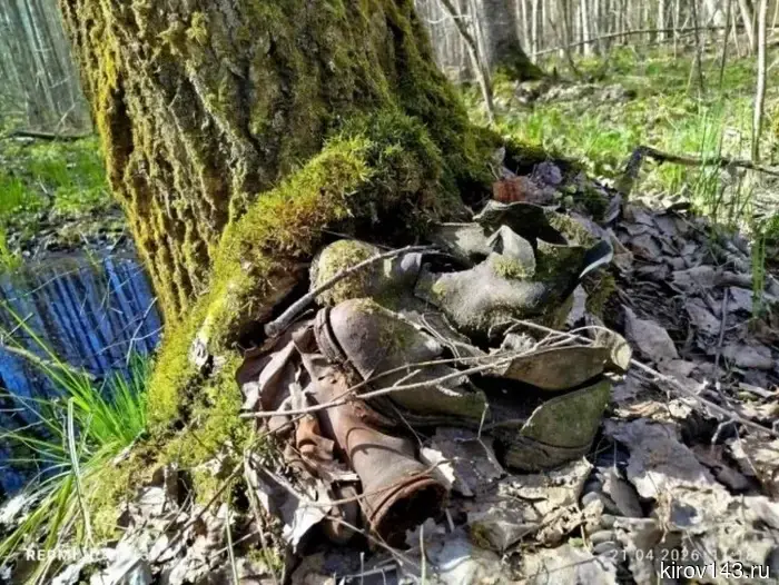 Эхо войны: 14 солдат Красной Армии нашли вечный покой благодаря усилиям поисковых отрядов ВятГУ.