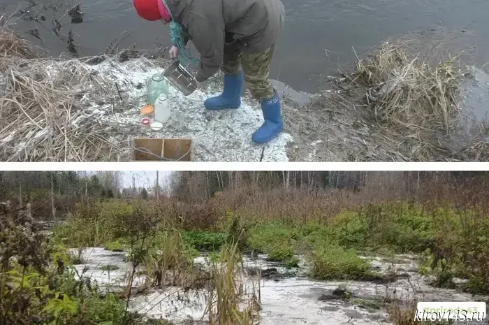В районе Котельнича обнаружен несанкционированный сброс отходов.