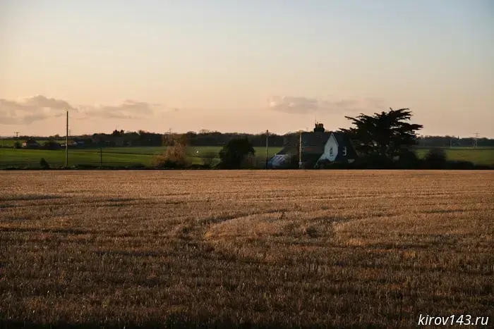 Grain crop yields have increased in Kirov Oblast.