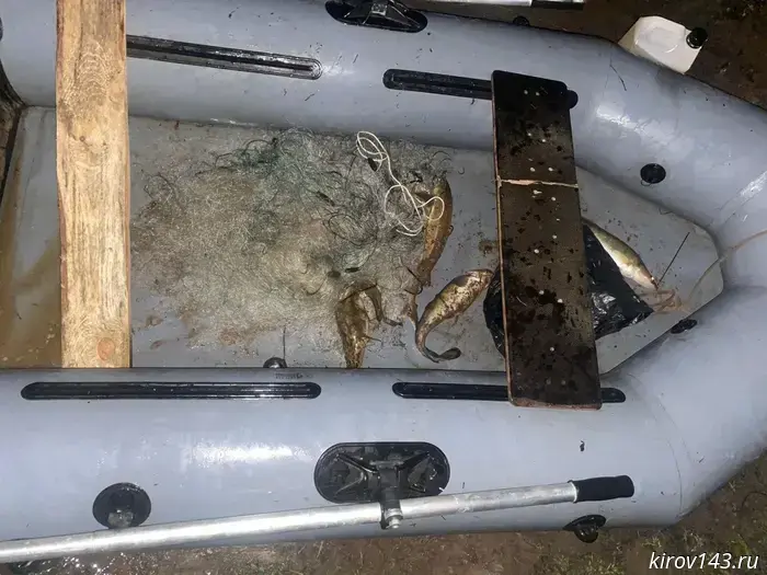 Kirov resident illegally caught walleye, burbot and sterlet in Fileysky backwater