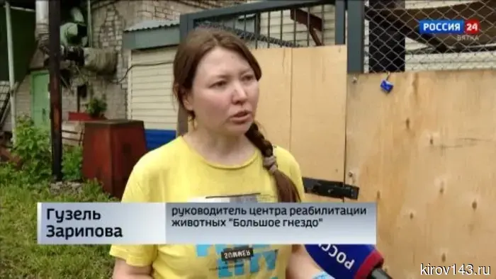В центре «Большое гнездо» выхаживают двух спасенных лосят.