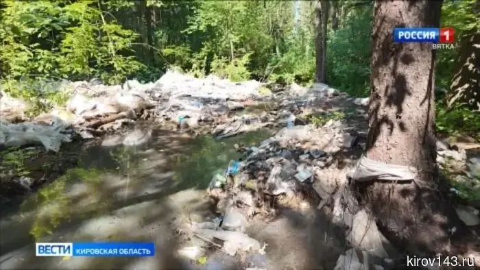 В Кирове открылся музей под открытым небом, экспонаты которого созданы из отходов.