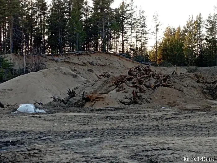 Небольшой штраф: чем завершилась ситуация с вырубкой леса в Лузе