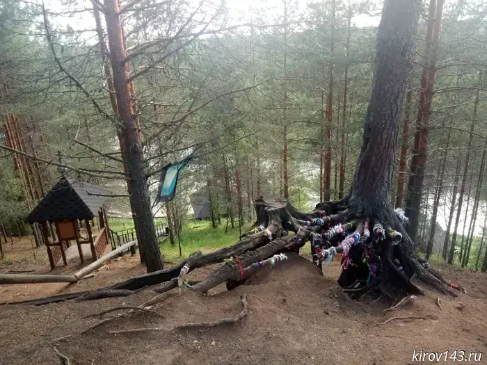 В Великорецком будет создана тропа стоимостью 6 миллионов рублей.