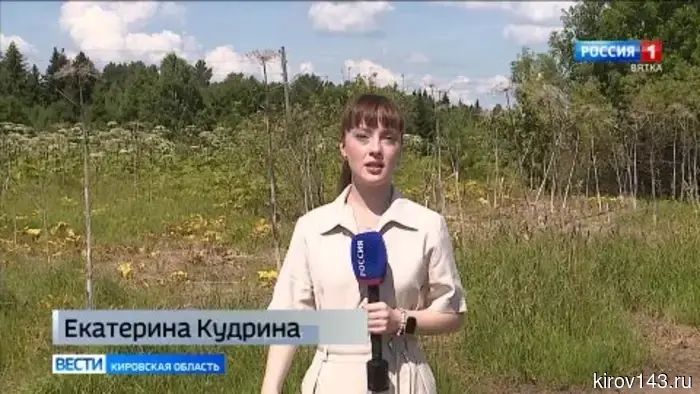 В Кировской области стартовал сезон борьбы с борщевиком