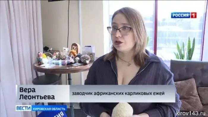 В Кирове впервые отметили «День ежей»