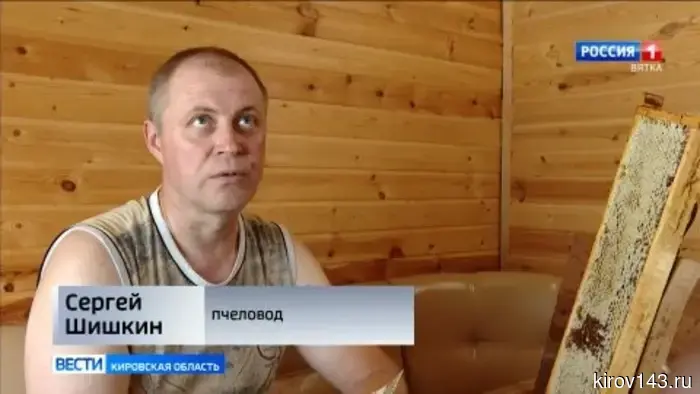 Пчеловоды Кировской области собирают урожай мёда