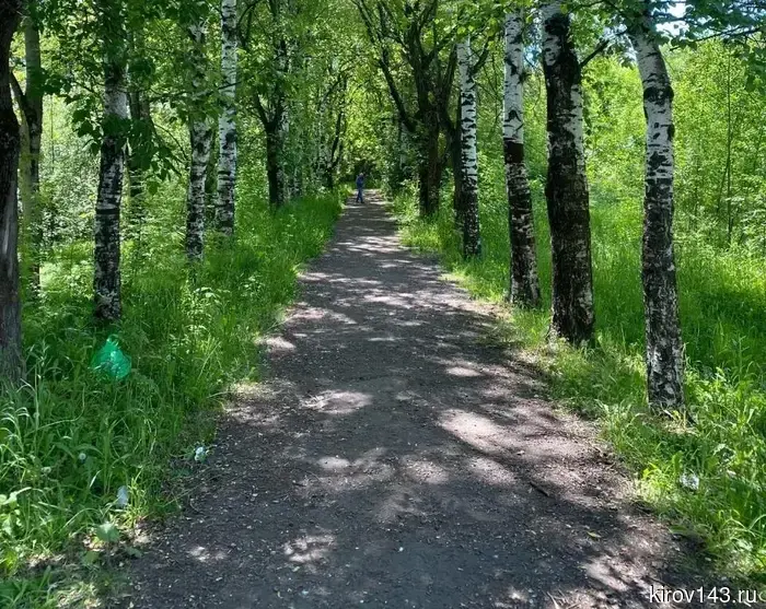 В Кирове утвердили правила охраны природных территорий местного значения
