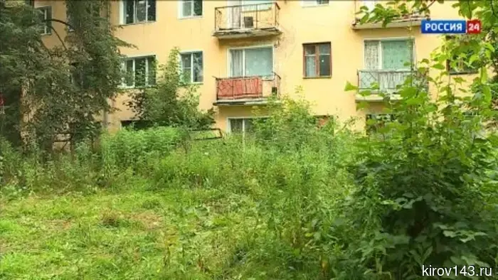 В Кирове оценили качество mowing травы.