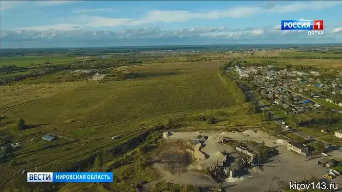 За выращивание шалфея предсказателей дачникам грозит штраф или уголовная ответственность