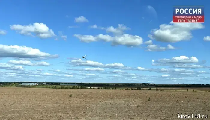 В 2026 году посевная площадь в регионе прогнозируется на уровне 768 тыс. гектар.