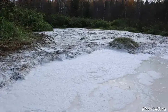 Sokolov took personal charge of the situation with the "sour-milk swamp" in Makarye