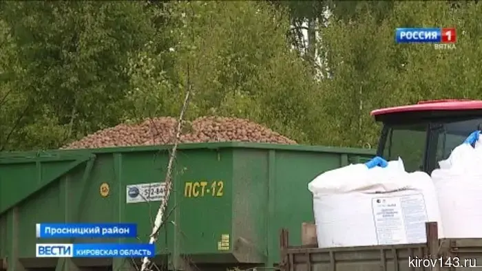 В Кировской области завершился процесс посадки картофеля.