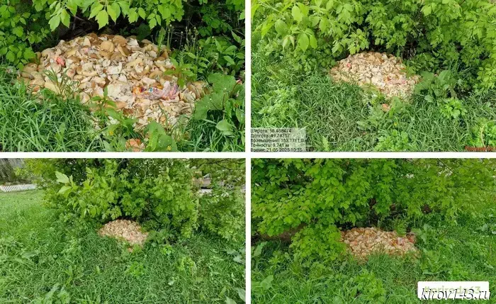 The bread dump was removed in Novovyatsk