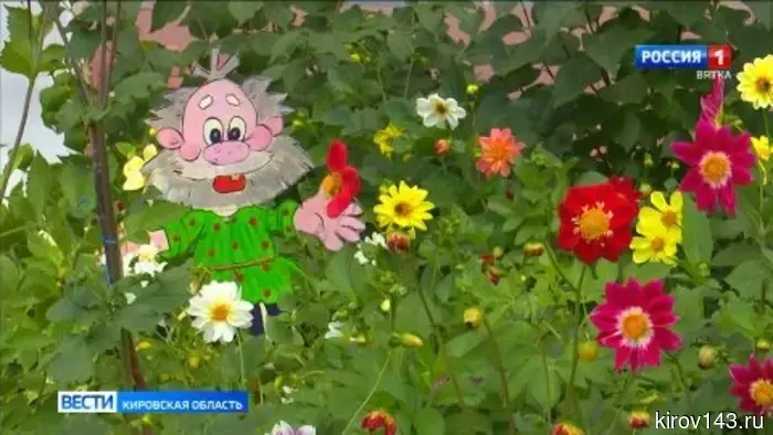 Кировчан приглашают к участию в конкурсе по озеленению дворов