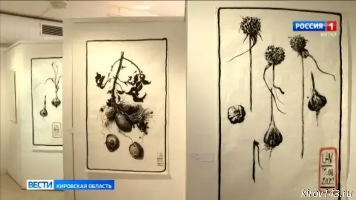 В Кирове открылась выставка художницы Елены Авиновой «Хрупкое»