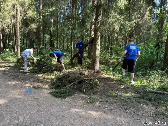Activists of the "Young Guard" tidied up the Health Trail in Poroshino.