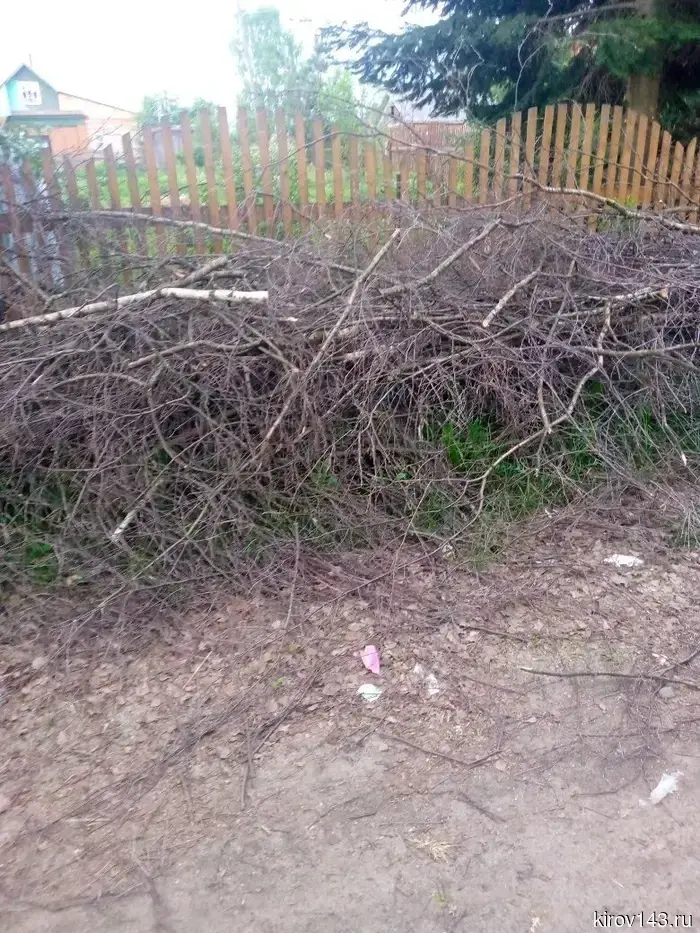 In Luza, they have not been able to remove the piles of branches for five months.