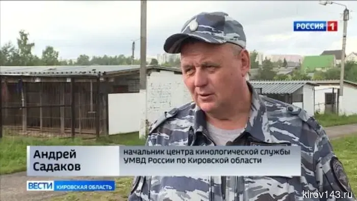 Как в Кирове сегодня осуществляется подготовка служебно-розыскных собак.