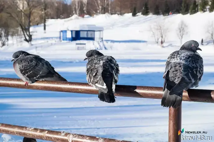 Frosts and icy conditions are expected in Kirov and the surrounding region over the weekend.