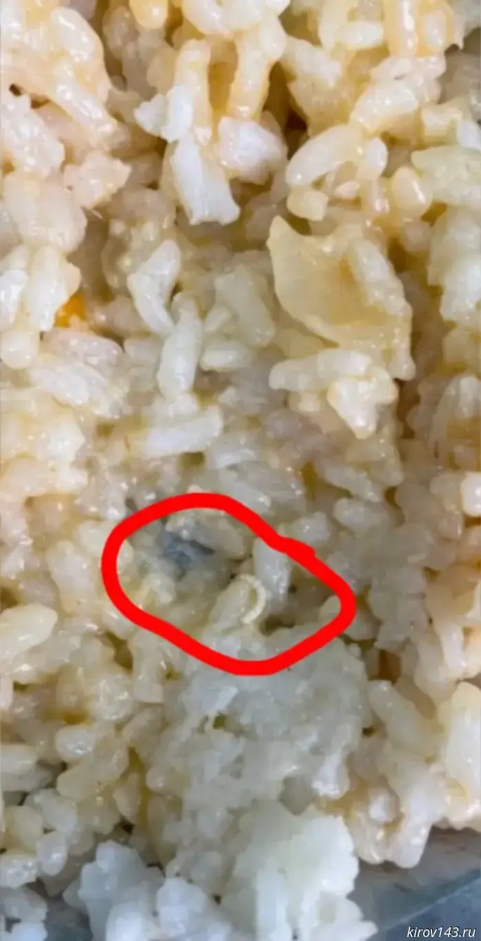 A scandal erupted in Kirs over larvae in schoolchildren's food.