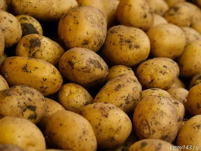 Kirov residents provided themselves with potatoes and vegetables.