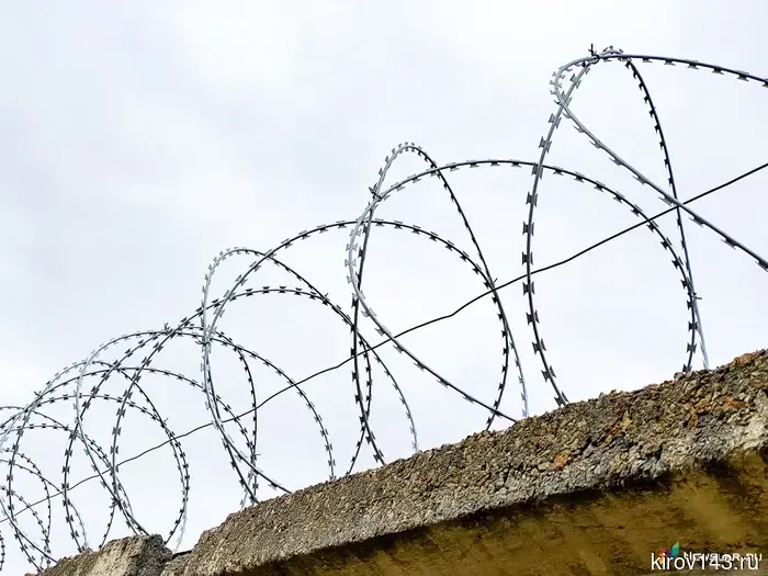 Кировский житель отправится в колонию за предложение «взятки» сотрудникам налоговой службы.