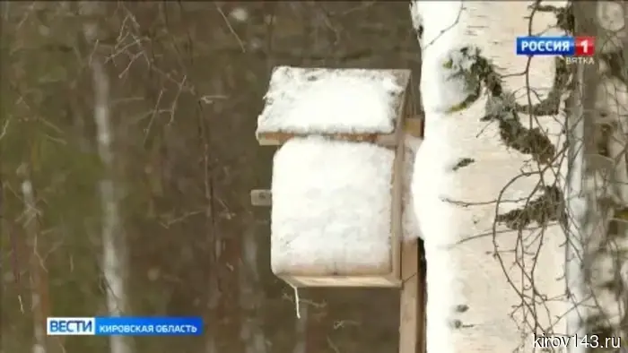 Кировчанам сообщили, каких еще неожиданностей стоит ожидать от погоды.